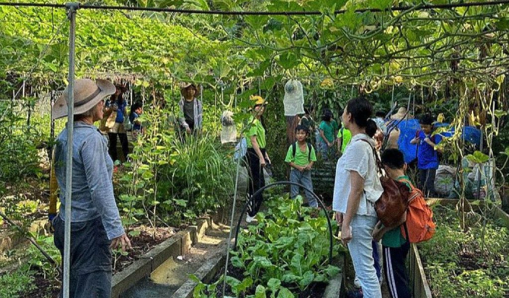 486669067_1106158834888777_8011068724817378031_n