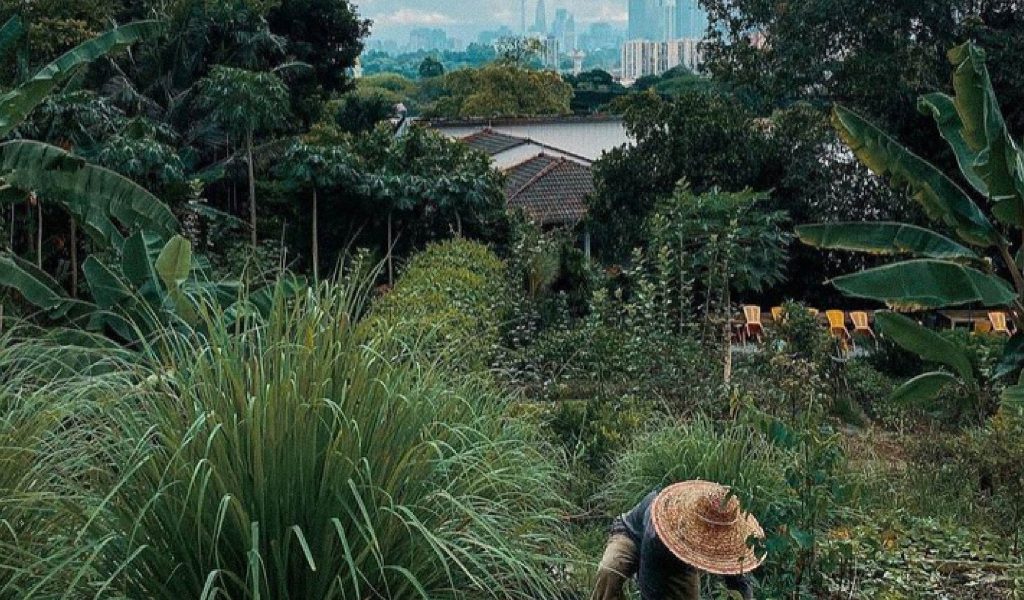 486813130_1106158858222108_5865834917962628440_n