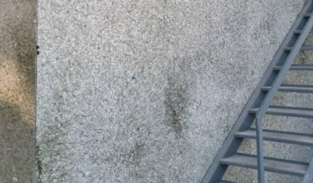 Ecopeal-Blog-02-qic1b20xugbulute2oldsfa1orextpqhzufdiqpgg8